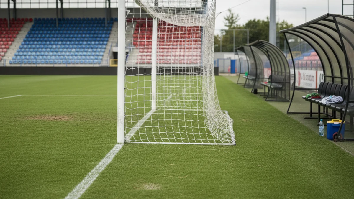 Imagen genérica de un campo de fútbol vacío antes de un partido importante, con las líneas de cal.