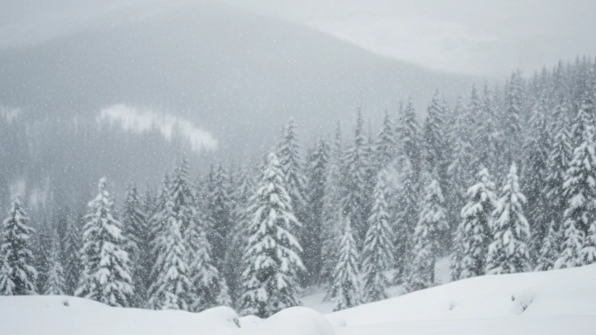 Imatge genèrica de neu caient sobre un paisatge de muntanya amb arbres coberts de blanc.