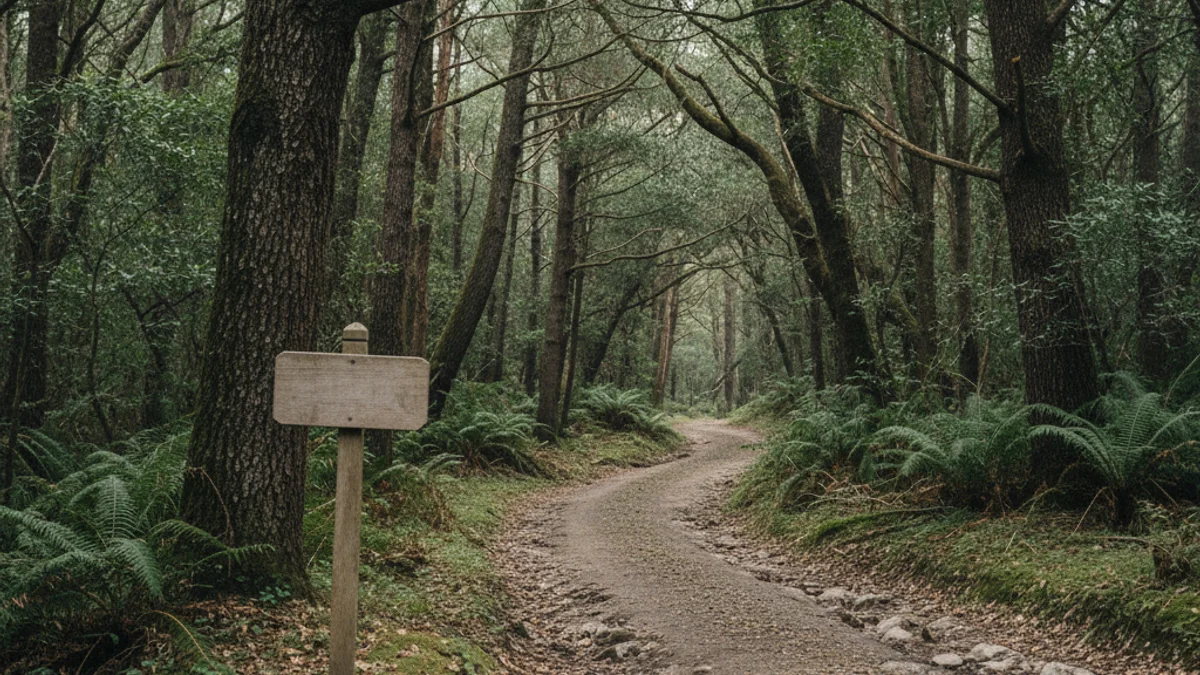 Imatge genèrica d'un camí rural o forestal amb senyalització municipal.