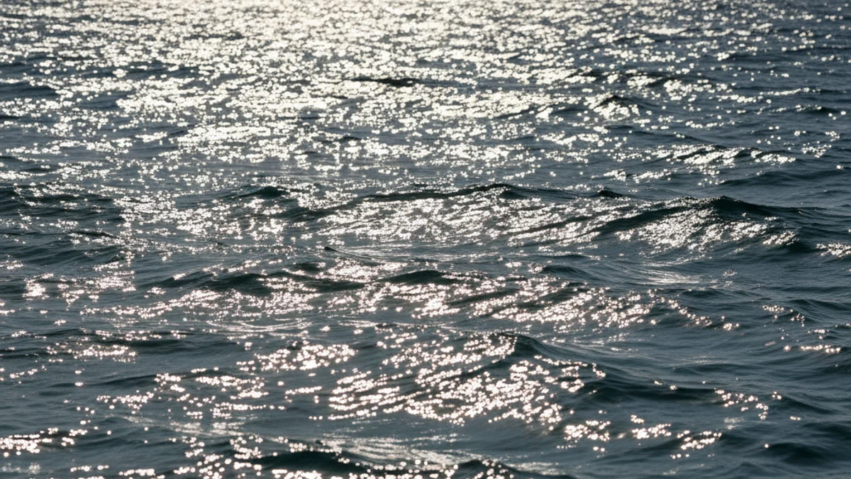 Imatge de la superfície del mar Mediterrani sota una intensa calor, simbolitzant l'escalfament oceànic.
