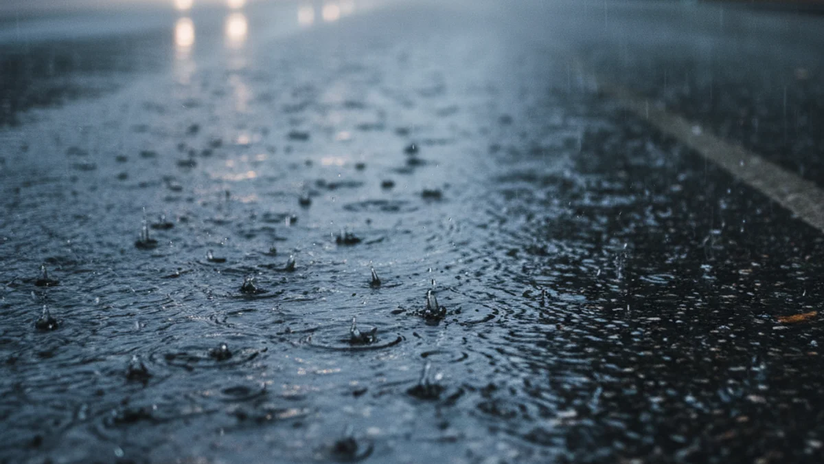 Imatge genèrica de pluja intensa caient sobre una carretera o un camp inundat, amb un cel gris i fosc.