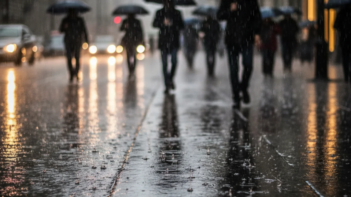 Imatge genèrica de pluja intensa caient sobre un carrer urbà, amb reflexos a l'asfalt mullat.