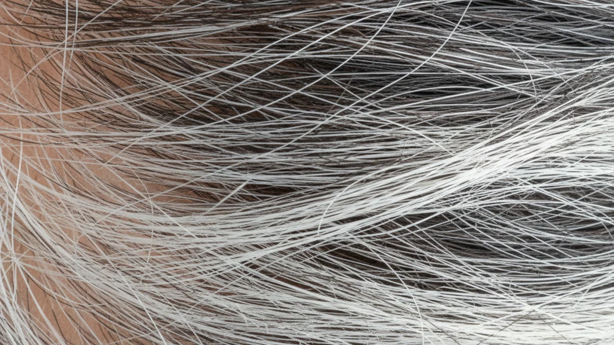 Primer pla d'un cabell amb una barreja de pèls pigmentats i cabells blancs, simbolitzant la canície.