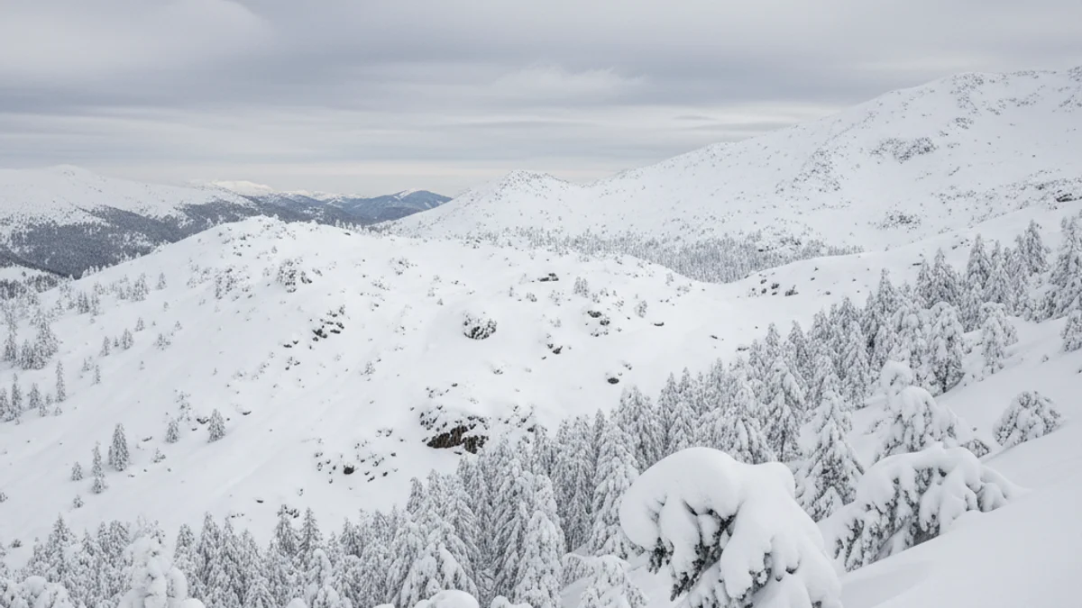 Paisatge nevat al Pirineu català amb muntanyes i arbres coberts de neu fresca.