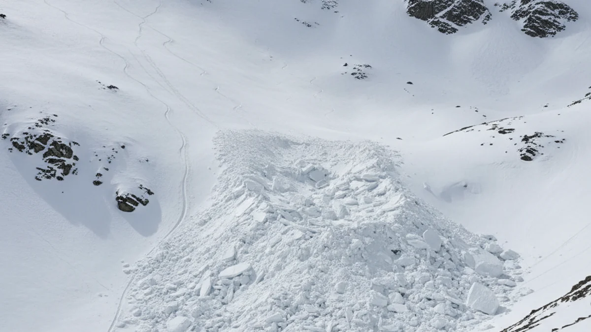Imatge genèrica d'una muntanya nevada amb signes de perill d'allau i rastres de neu despresa.