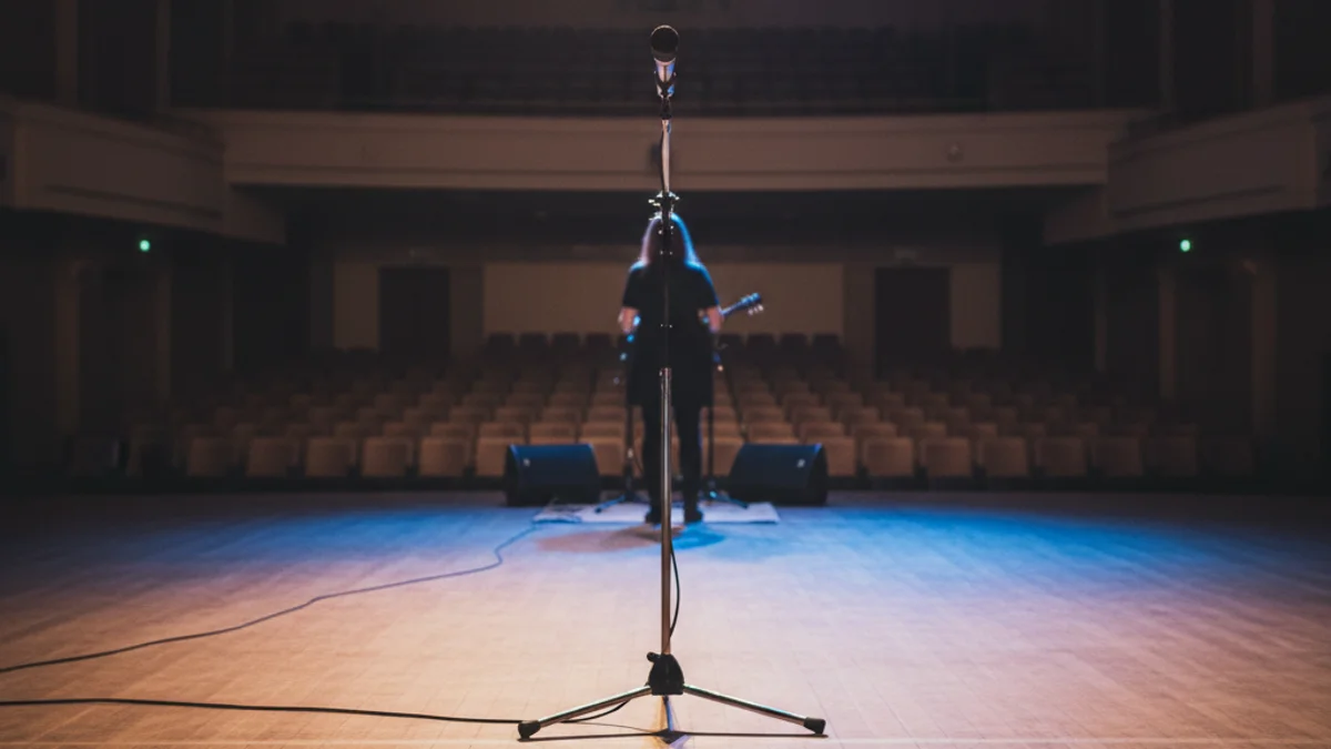 Descripció genèrica d'un escenari amb focus i la silueta d'un cantant durant una actuació de talent show.