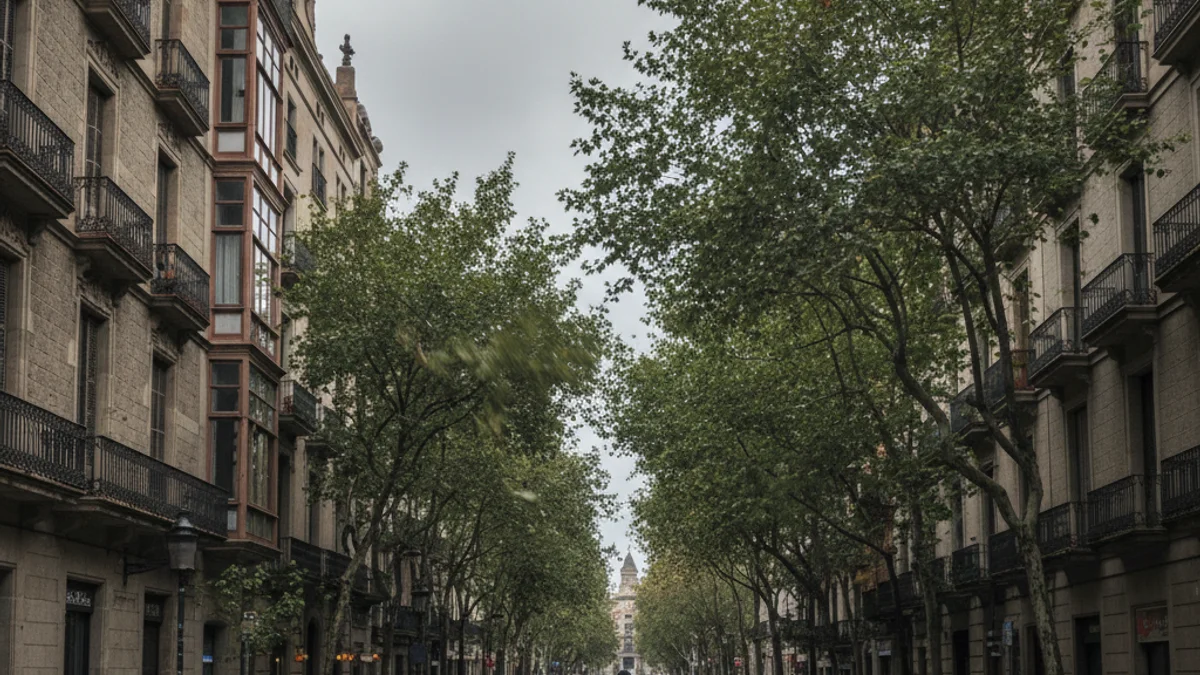 Imatge d'arxiu d'un carrer de Barcelona amb vent i branques d'arbres mogudes.