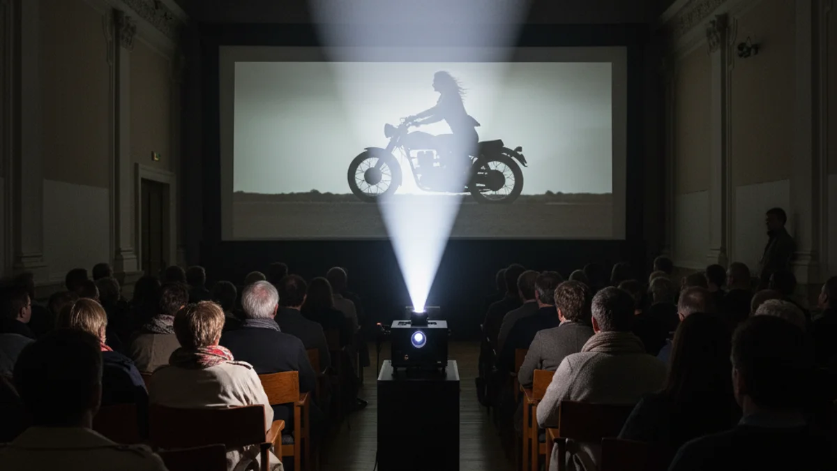 Imatge genèrica d'una sala de cinema a les fosques durant la projecció d'un documental.