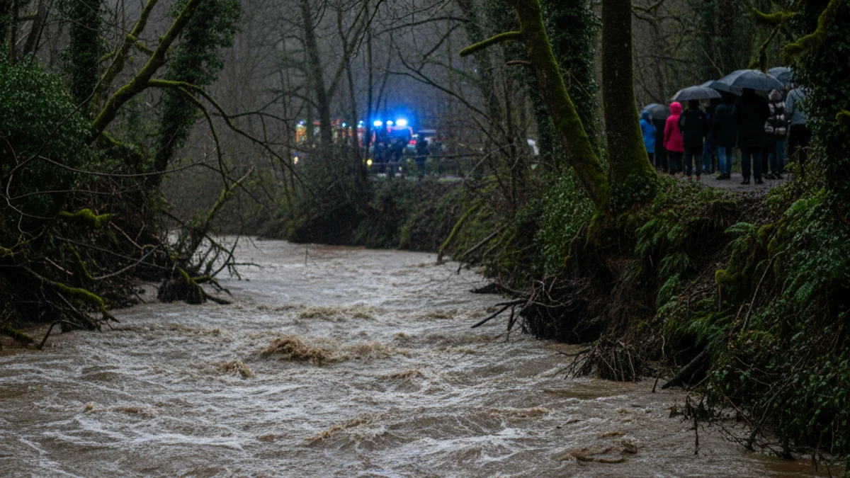 Imatge genèrica d'un riu amb un cabal d'aigua elevat i vegetació a la llera.