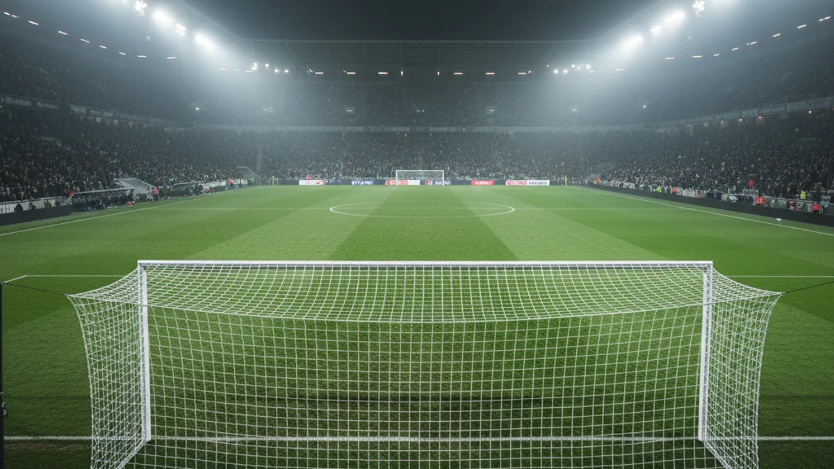 Generic image of a football stadium pitch under floodlights at night.