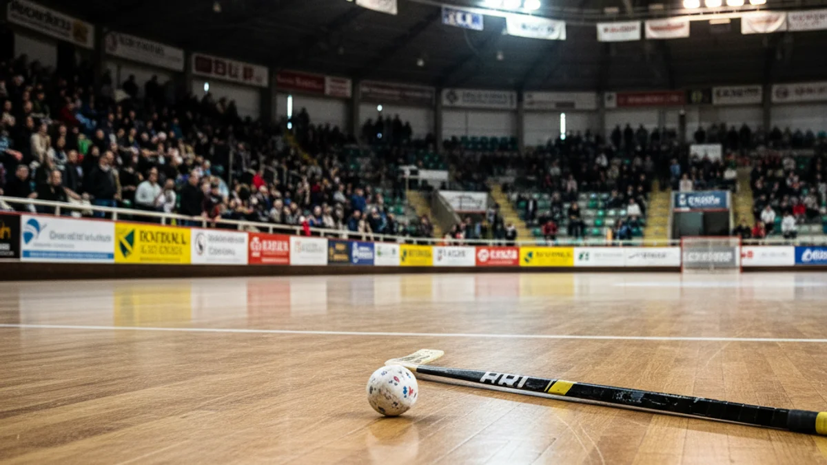 Imatge genèrica d'una pista d'hoquei patins amb una pilota i un estic sota els focus d'un pavelló.