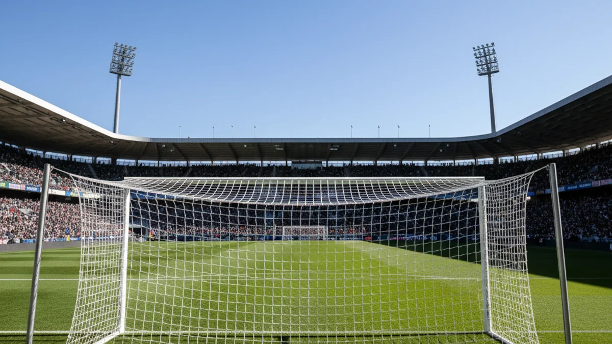 Imatge genèrica d'un camp de futbol preparat per a un partit oficial.