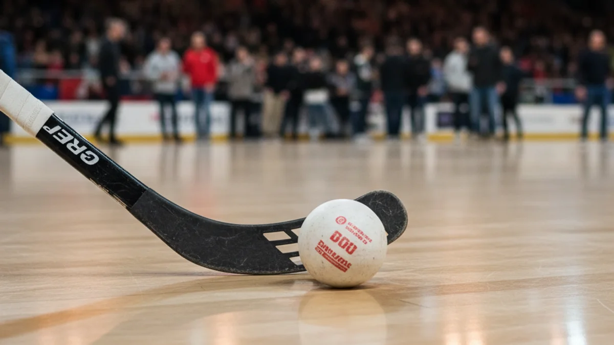 Imatge genèrica d'una pilota i un estic d'hoquei patins sobre una pista de fusta.