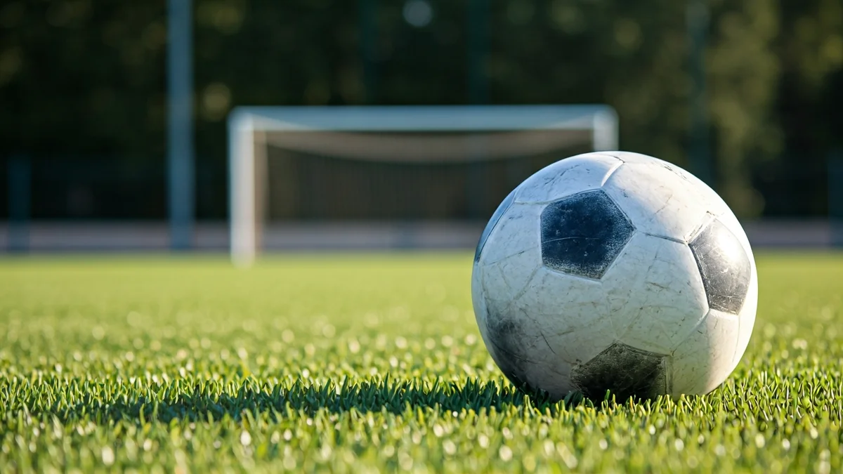 Imatge genèrica d'una pilota de futbol en un camp d'herba, amb una porteria desenfocada al fons.