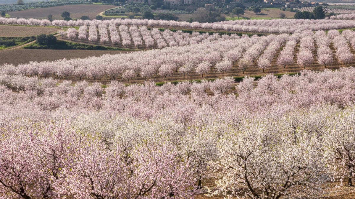 Imagen genérica de los campos de árboles frutales en flor durante la primavera.