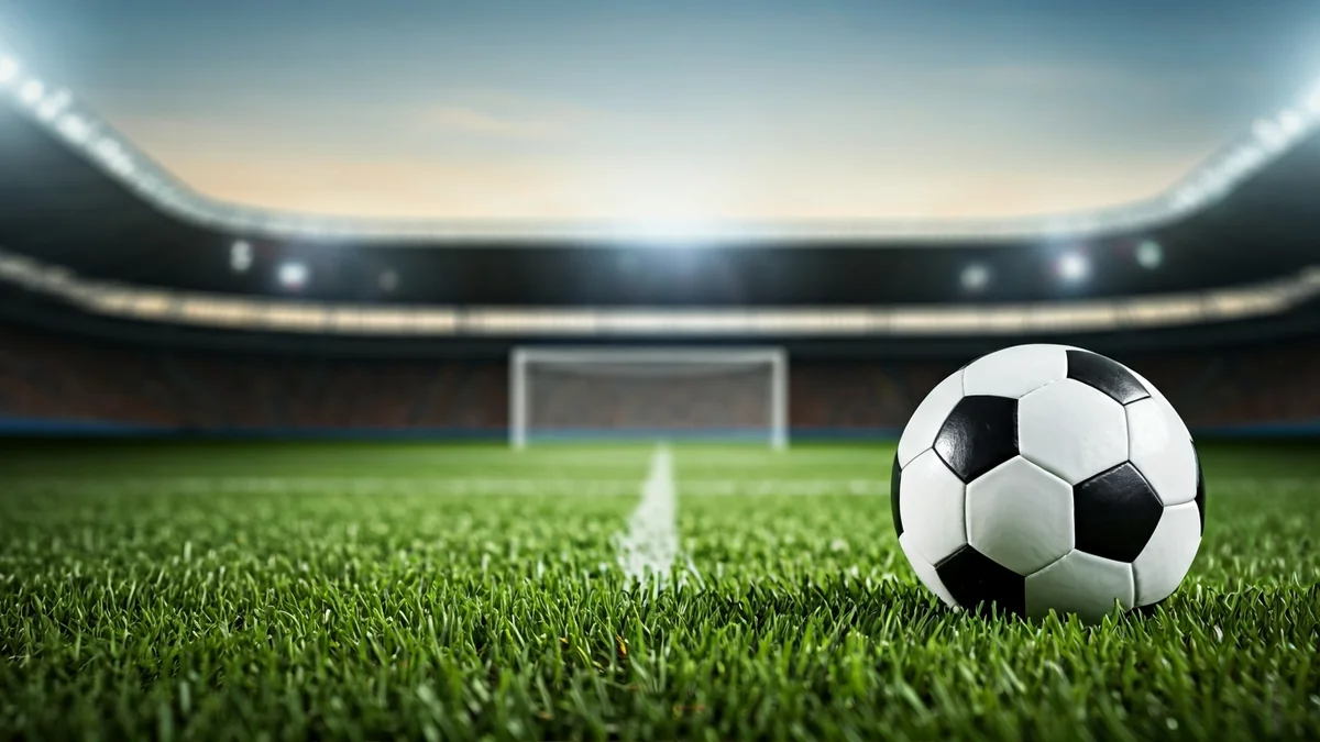 Imatge genèrica d'una pilota de futbol sobre la gespa d'un camp