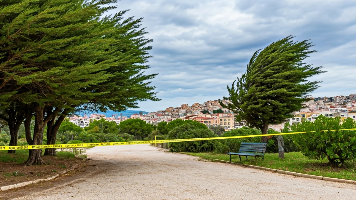 Generic image of a park closed with safety tape due to wind.