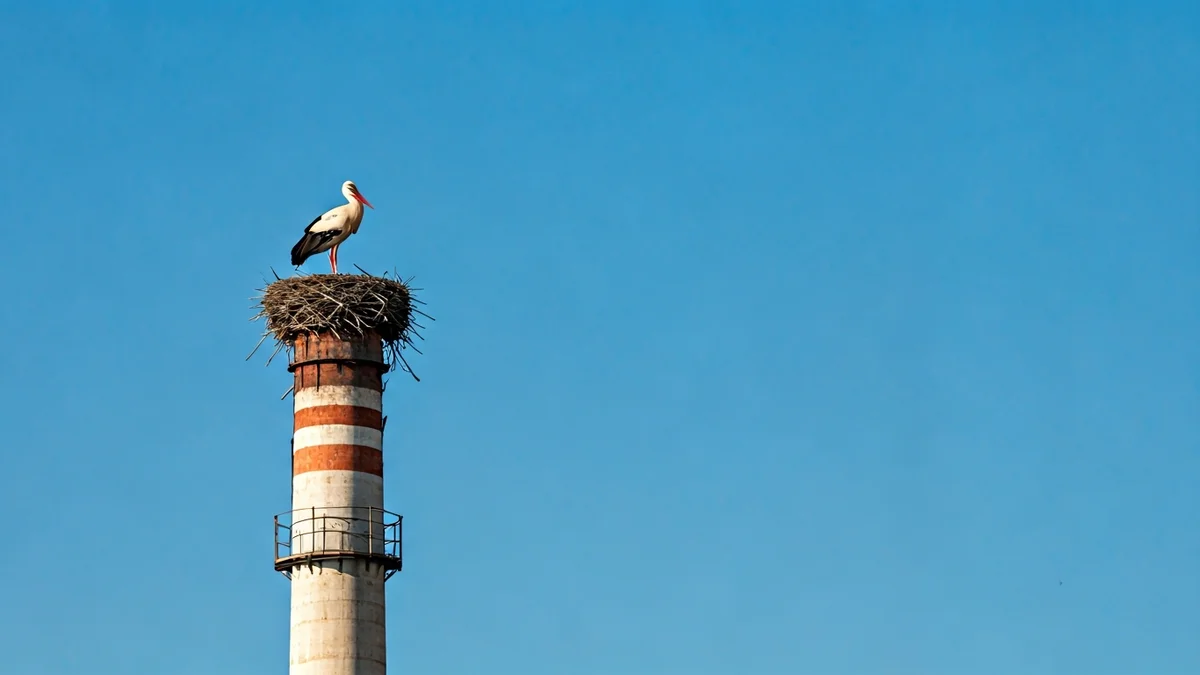 Imatge genèrica d'una cigonya sobre una xemeneia industrial sota un cel blau.