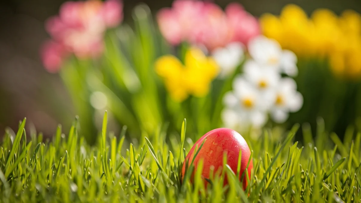 Generic image of an Easter egg hidden in grass, with blurred spring flowers in the background.