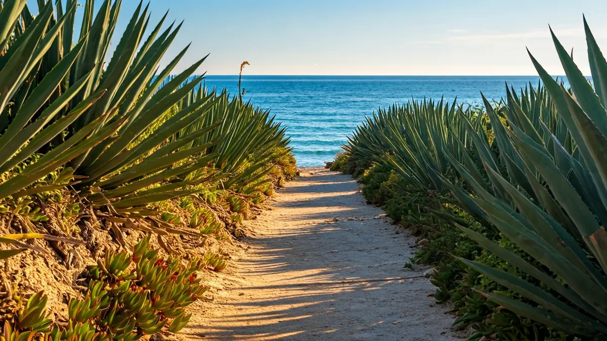 Generic image of a coastal walking path with native vegetation.