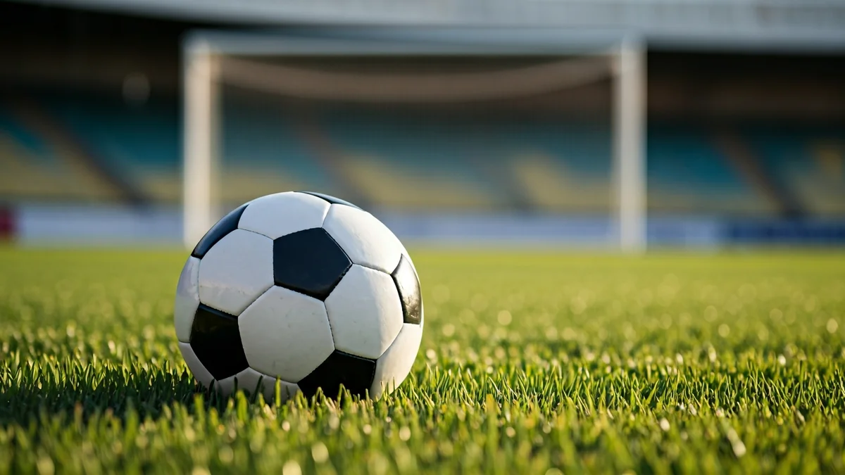Generic image of a soccer ball on a field