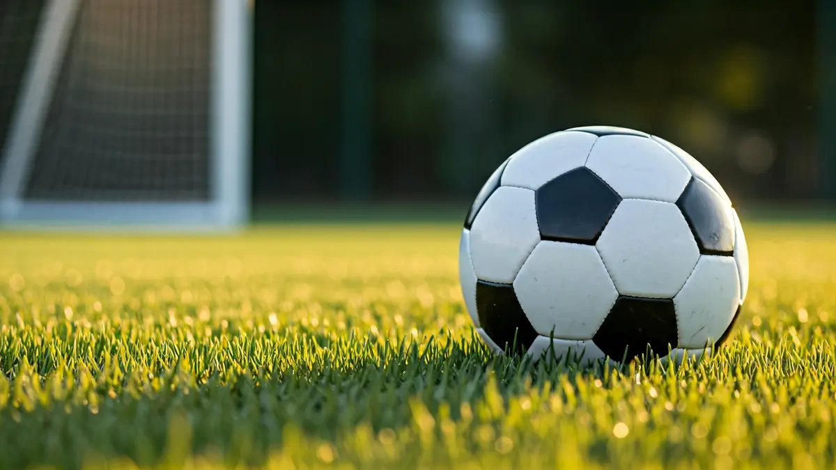 Generic image of a soccer ball on grass, with a blurred goal in the background.