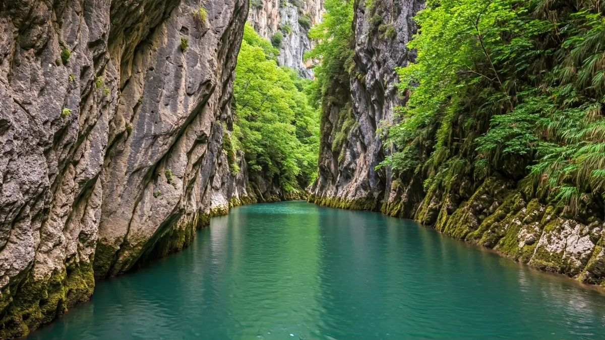 Imatge del riu Noguera Pallaresa al congost de Collegats, amb parets rocoses i vegetació.