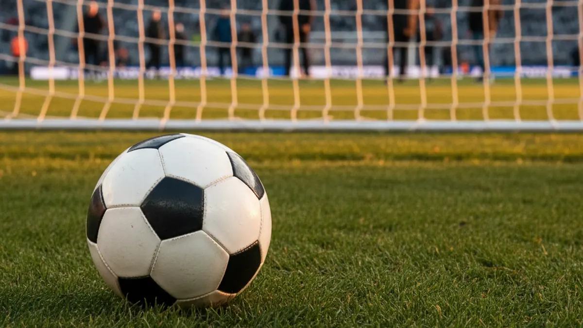 Generic image of a soccer ball on a green field.