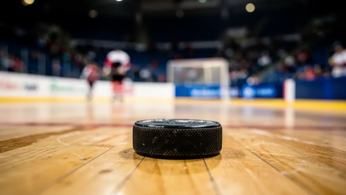 Imatge genèrica d'un disc d'hoquei sobre patins.