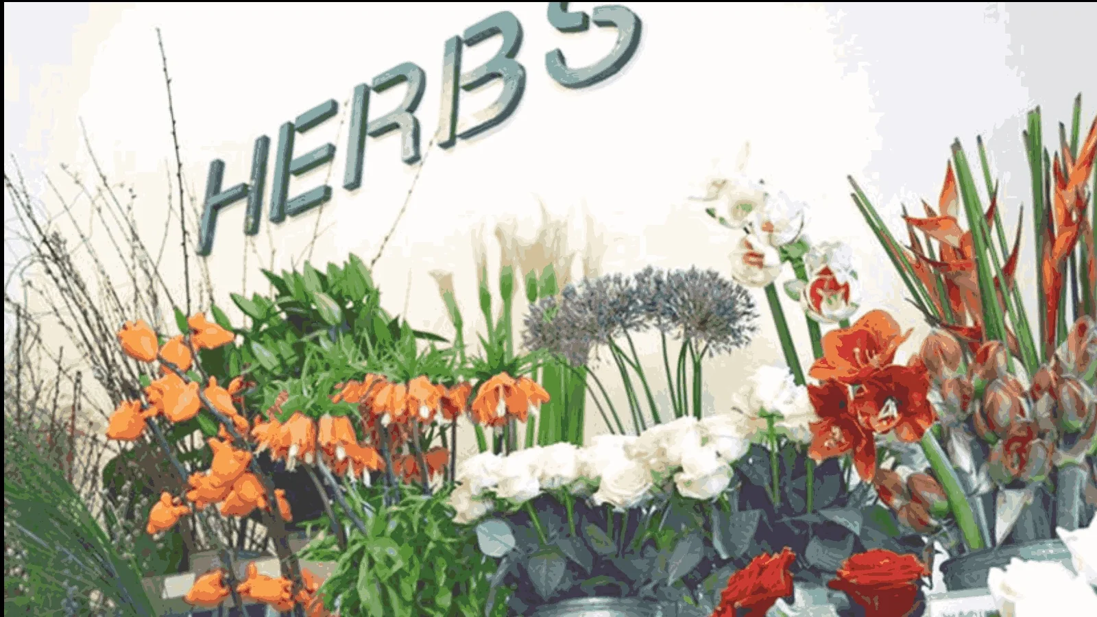 Floristeria Herbs Barcelona: tradició, innovació i flors a domicili en dues hores a Barcelona