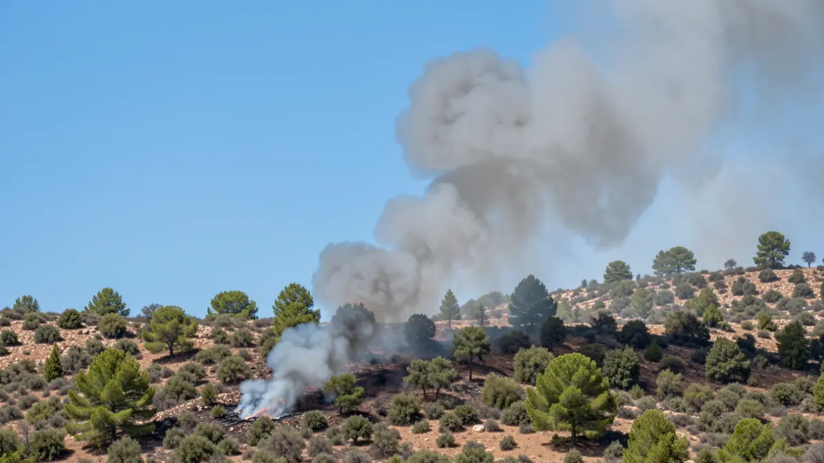 Generic image of wildfire smoke in Catalonia.