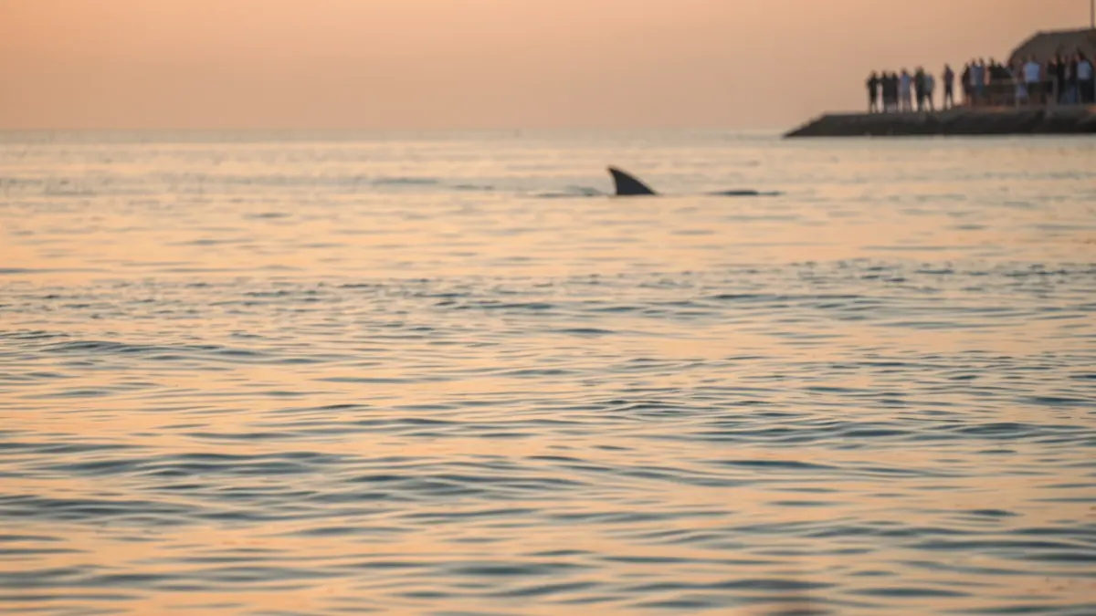 Generic image of the Mediterranean Sea at sunset.