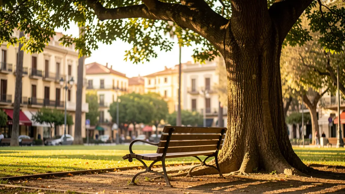 Park bench in Barcelona under a tree's shade, with city buildings in the background.