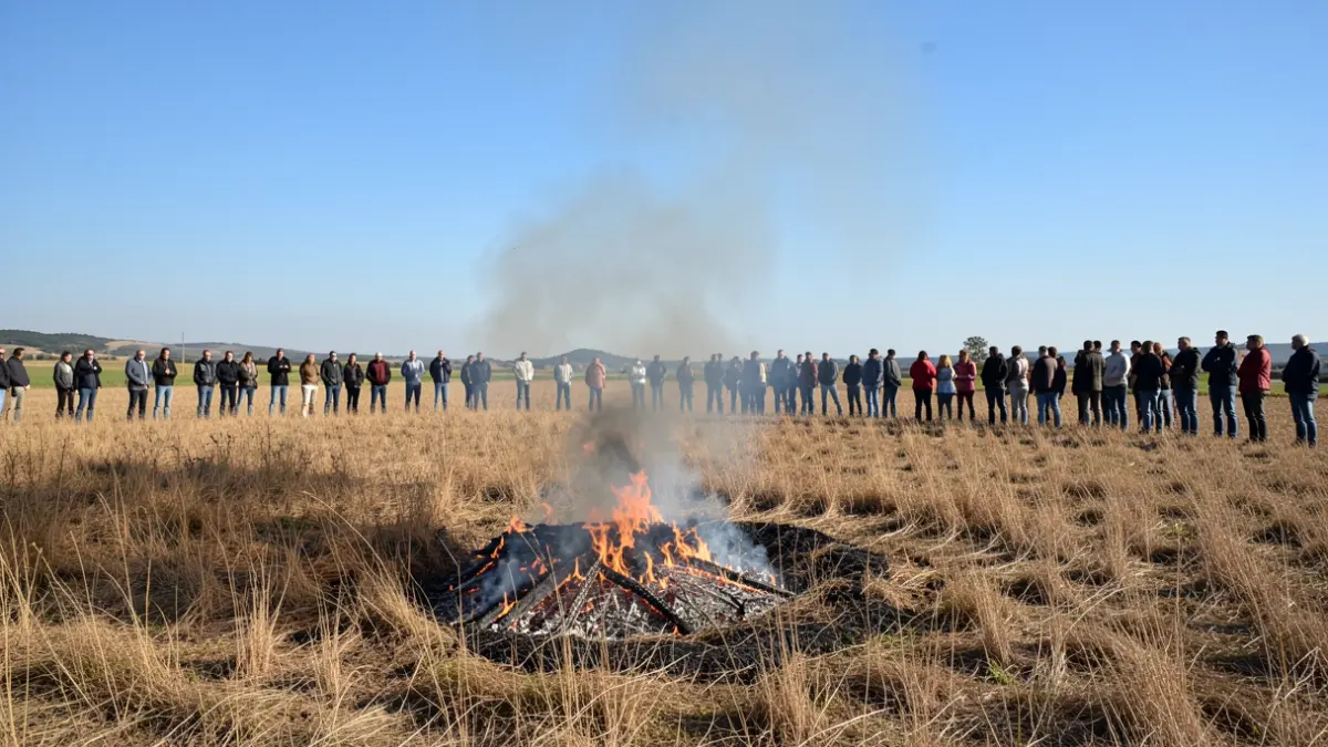 Generic image of a small, controlled vegetation fire in a field.