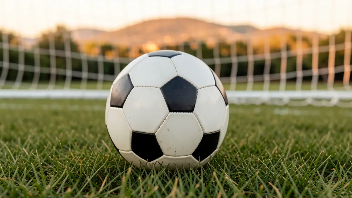 Generic image of a soccer ball near a goal net.