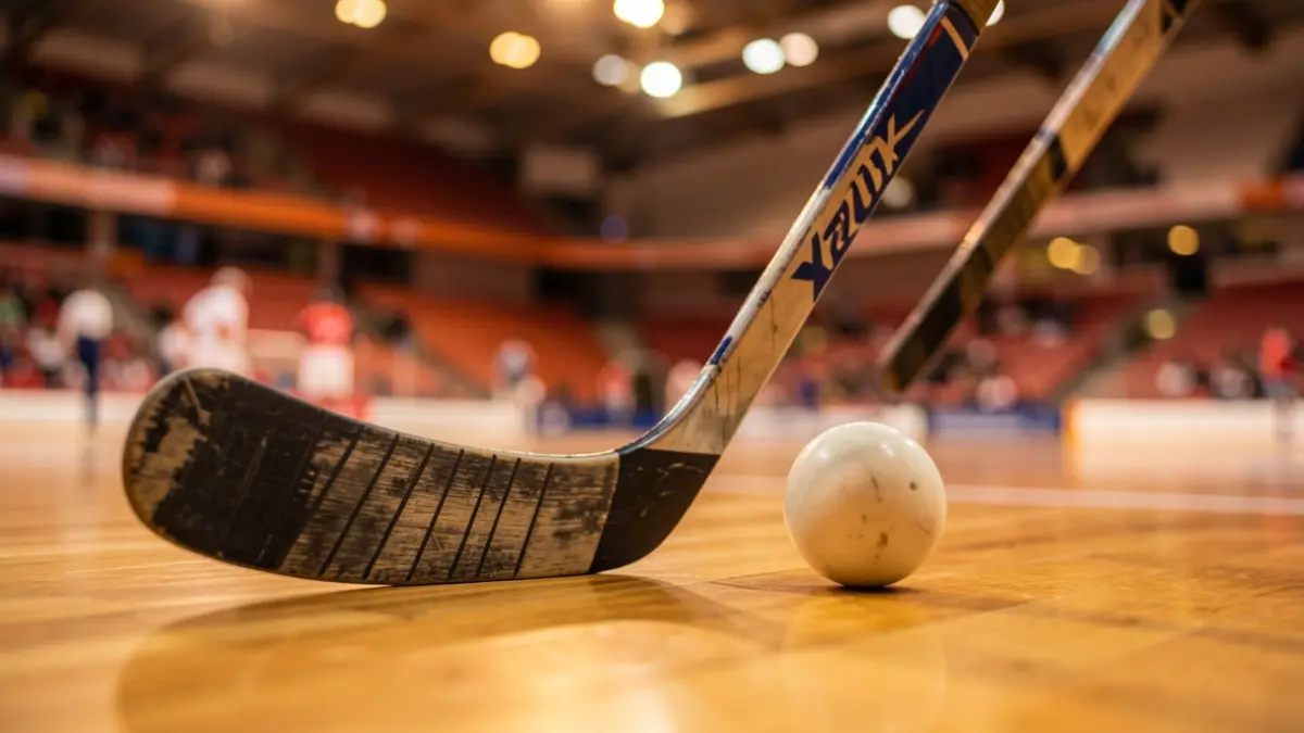 Imatge genèrica d'un estic i una pilota d'hoquei sobre una pista esportiva.
