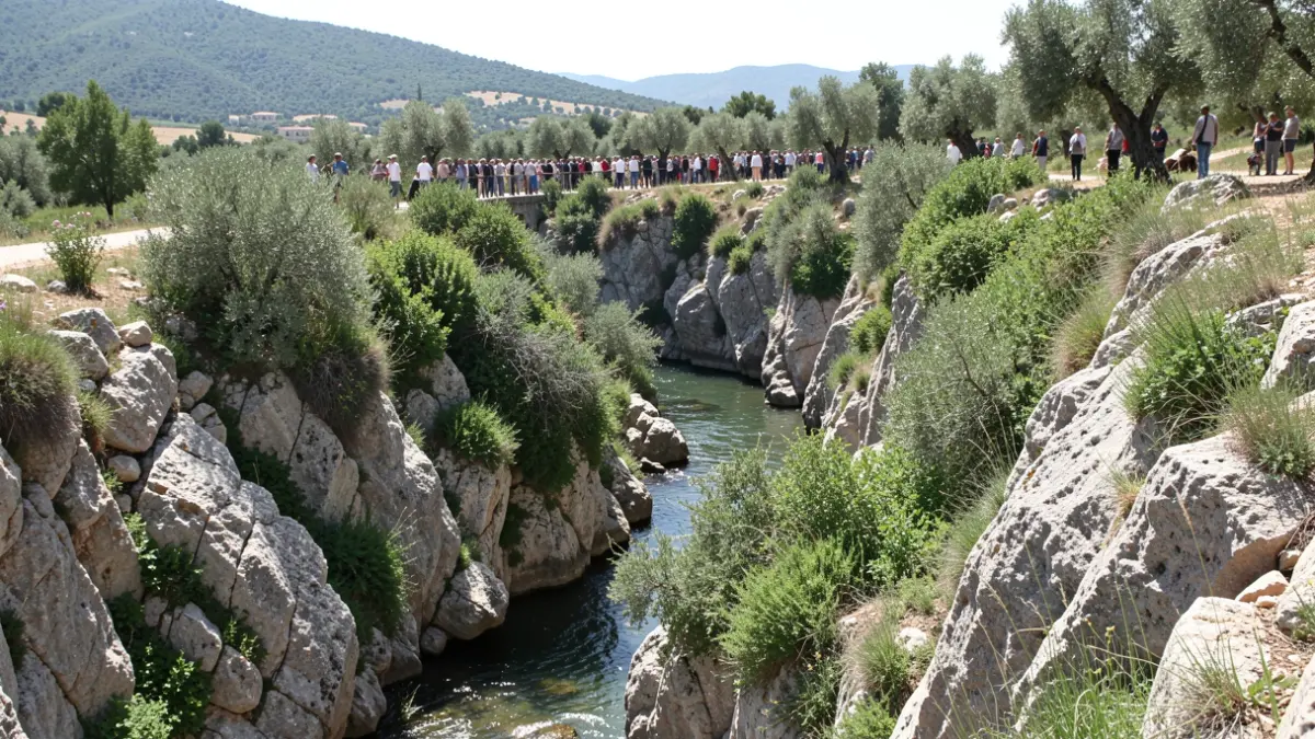 Generic image of a ravine with vegetation and a nearby river.