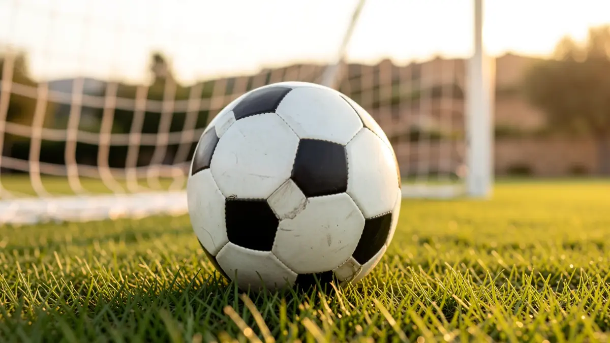 Imatge genèrica d'una pilota de futbol a la gespa.