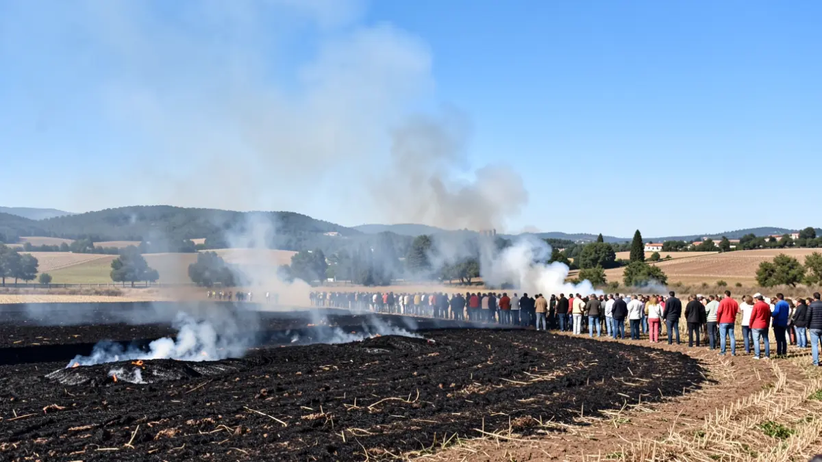 Generic image of an agricultural field fire in Catalonia.