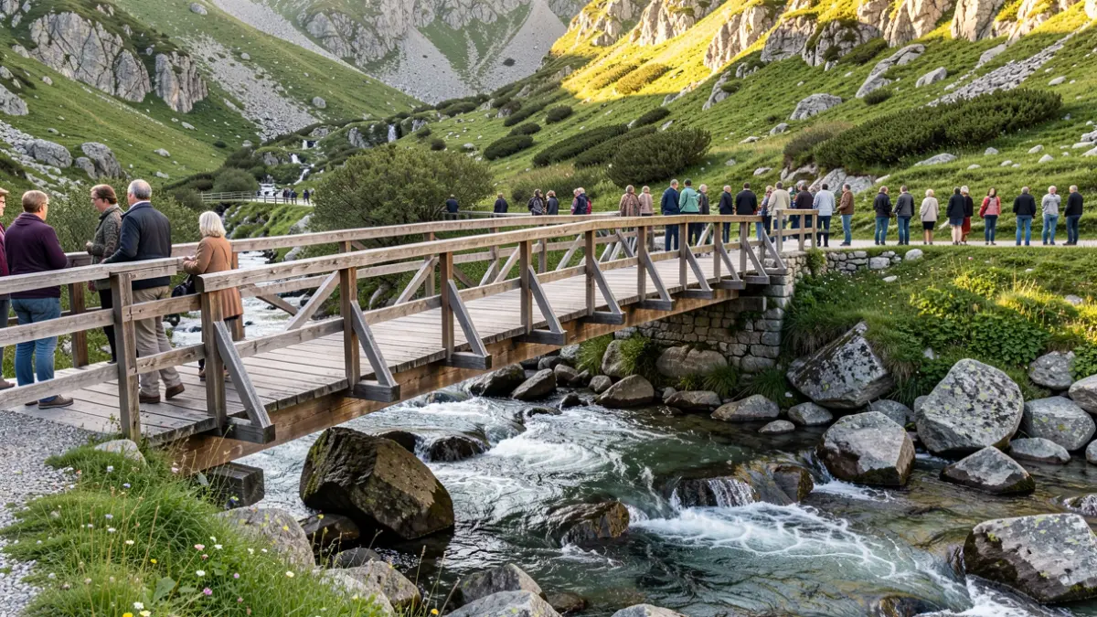 Wooden bridge over a mountain stream in the Pyrenees.