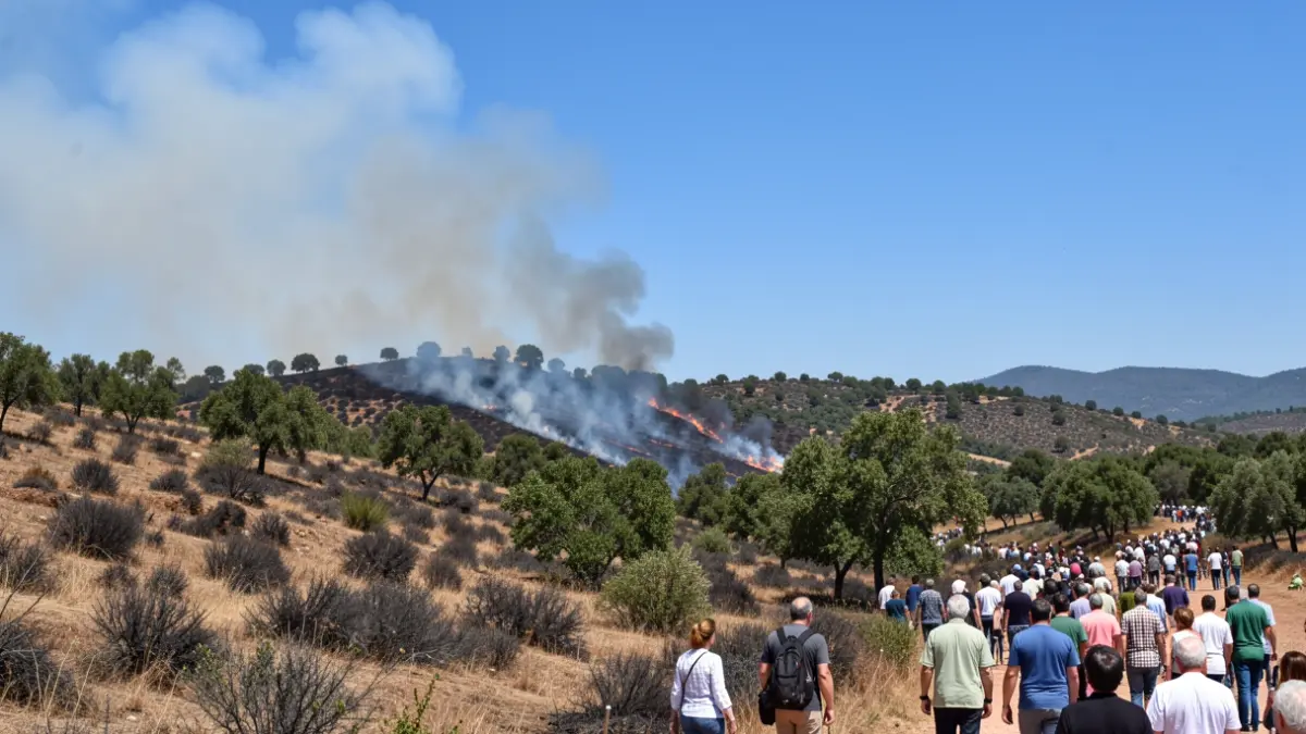 Imatge genèrica d'un incendi forestal controlat en una muntanya mediterrània.