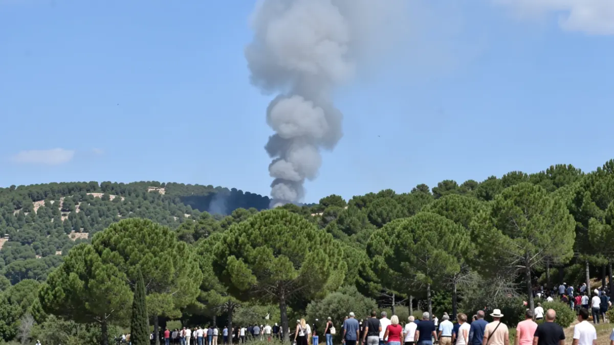 Column of smoke over a wooded area during a forest fire.