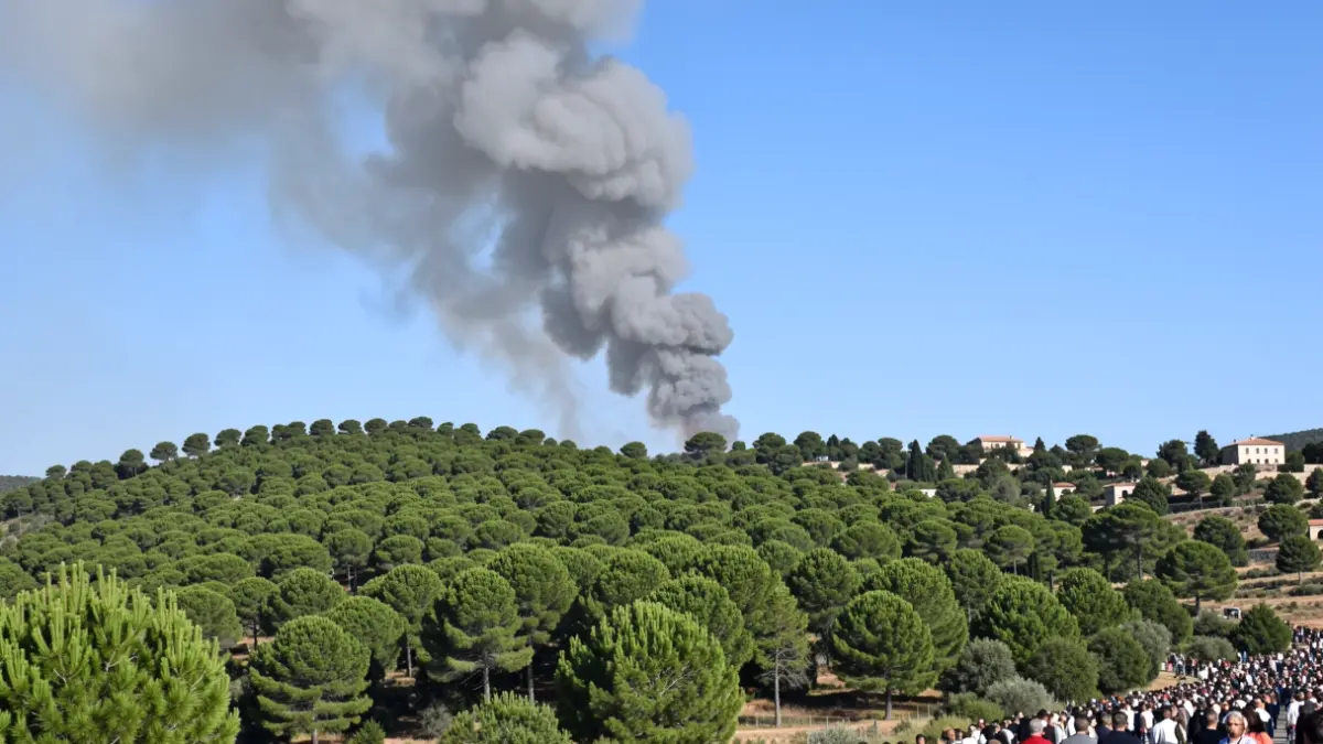 Imatge genèrica d'una columna de fum sobre un bosc mediterrani.