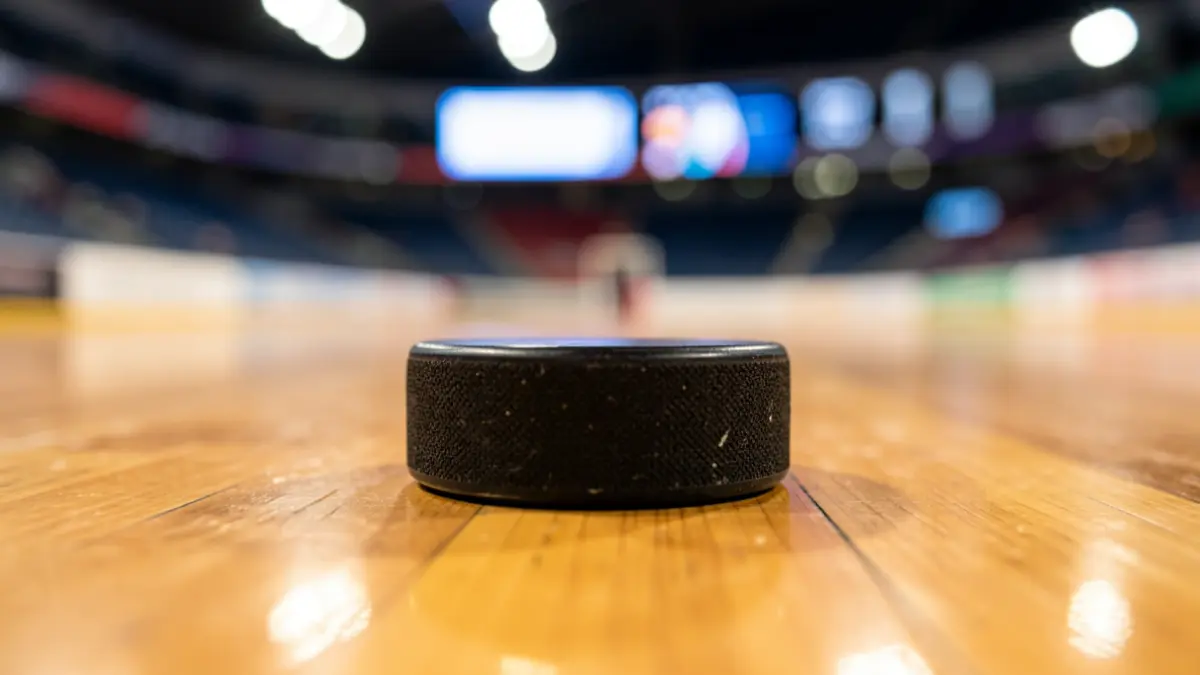 Close-up of a hockey puck on a playing surface.