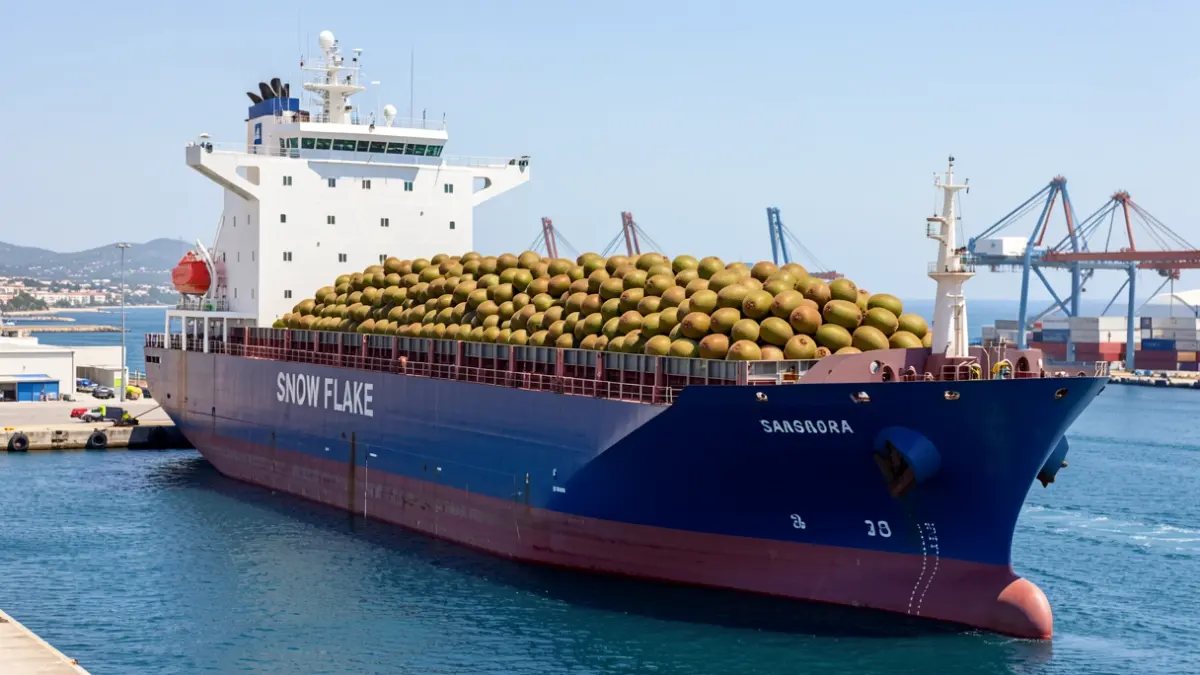 El vaixell Snow Flake atraca al Port de Tarragona amb una gran càrrega de kiwis.