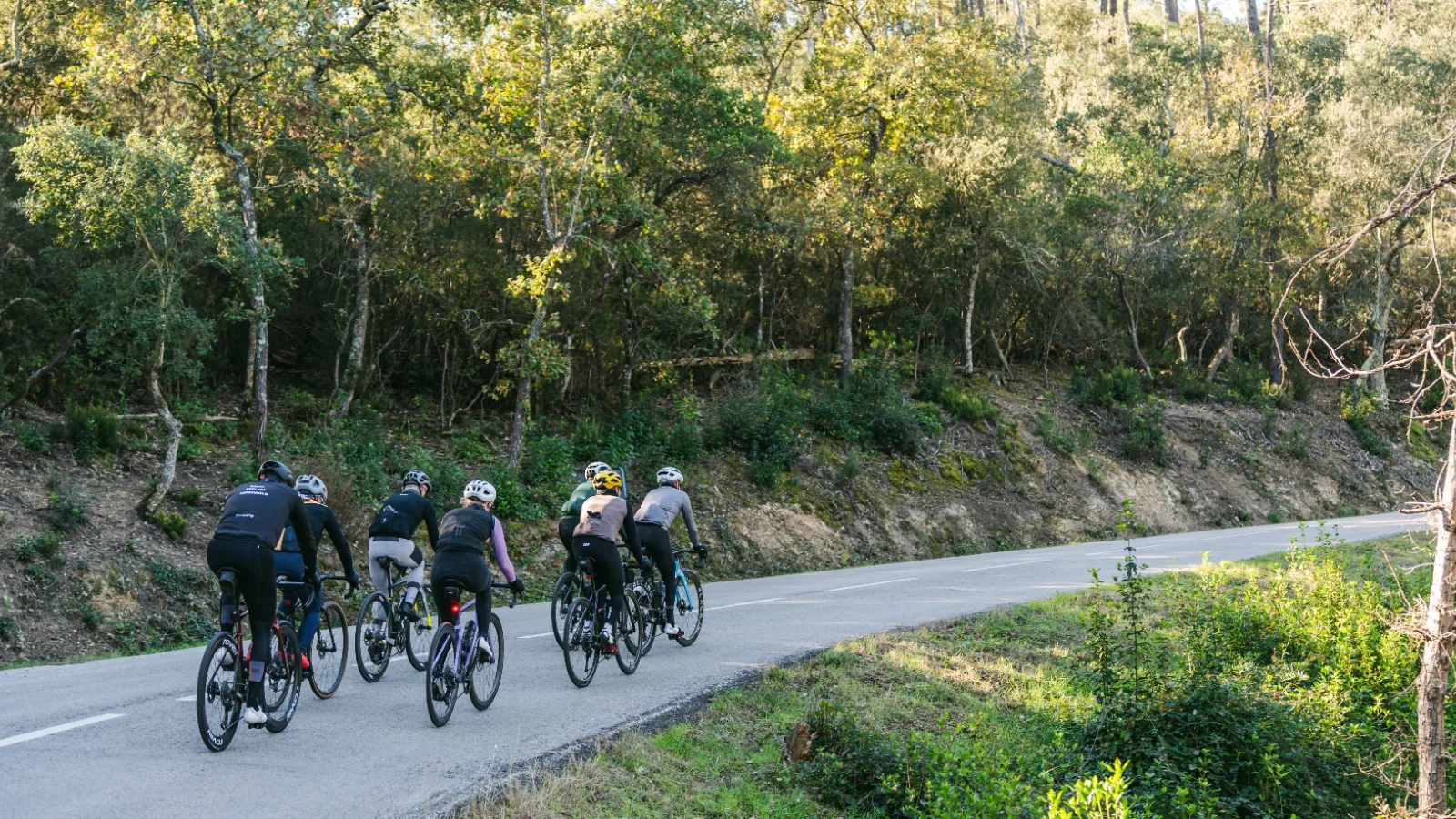 Bike Tours Girona ofereix experiències ciclistes personalitzades, tant de carretera, de gravel, com demountain bike, per descobrir els cims, la gastronomia i els paisatges de Girona, la Costa Brava i l'Empordà.