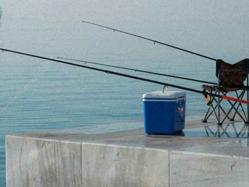 Guia per a la donació solidària de peix de pesca recreativa