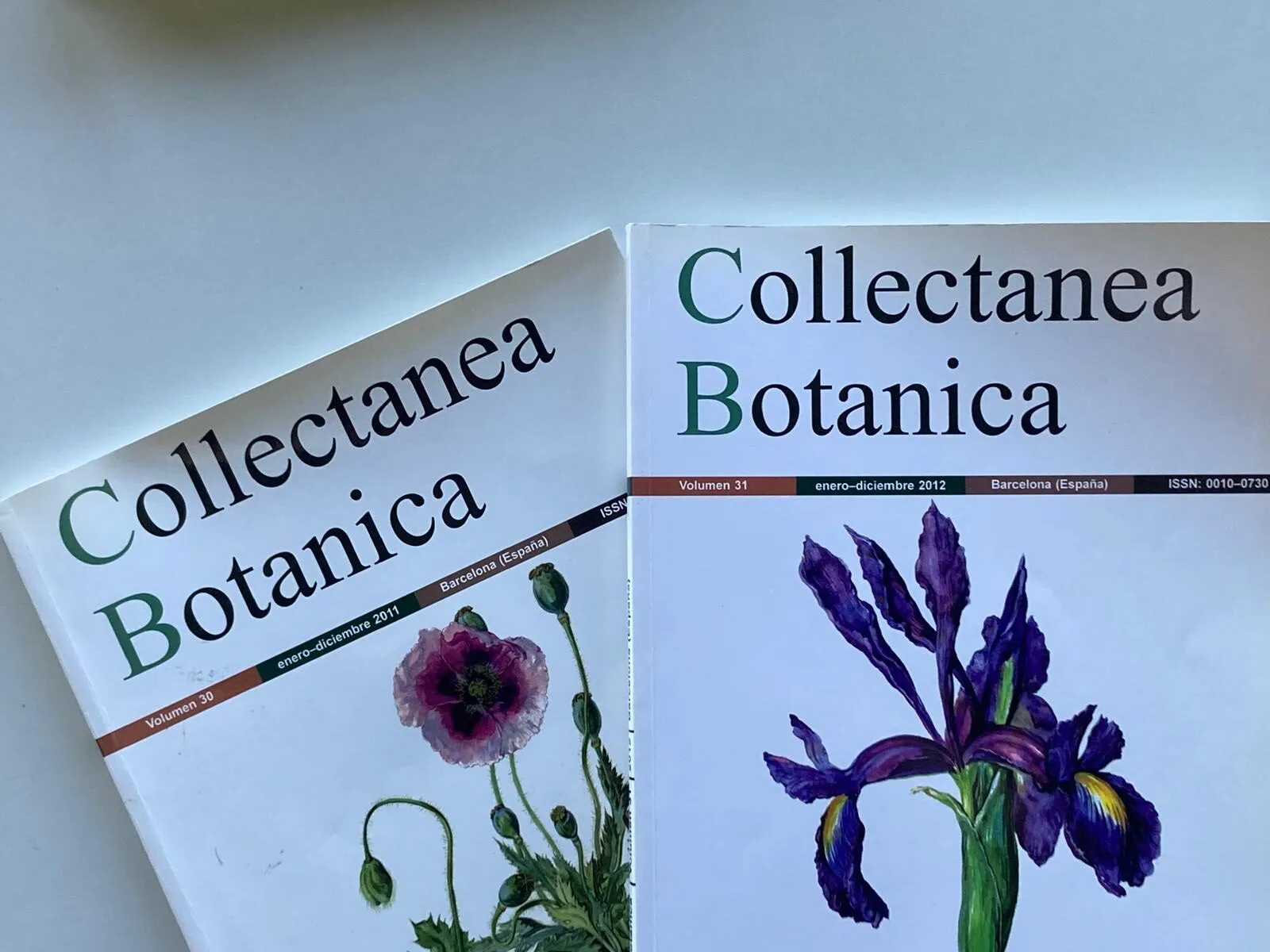 Collectanea Botanica inicia el volum 2026 amb nous articles sobre botànica i micologia