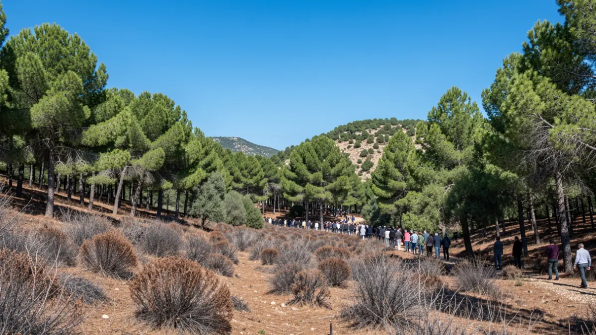 Generic image of a Mediterranean forest landscape with fire risk.