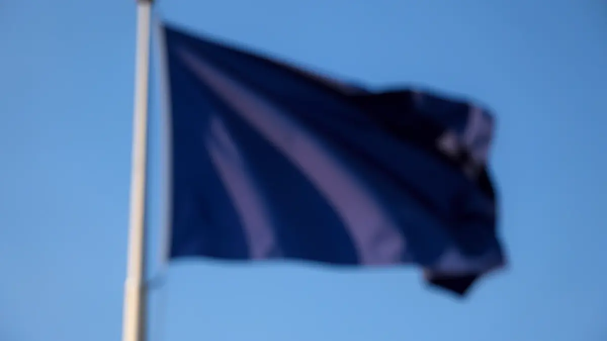 Imatge genèrica d'una bandera onejant a mig pal.